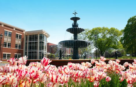 Summerville fountain in spring