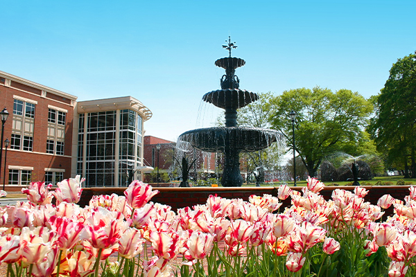 Summerville fountain in spring