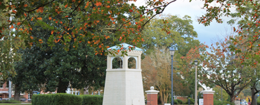 Picture of Augusta University Campus during the fall